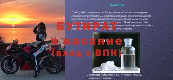 гашик Болотное