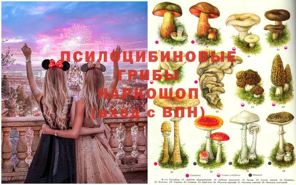 mix Нязепетровск