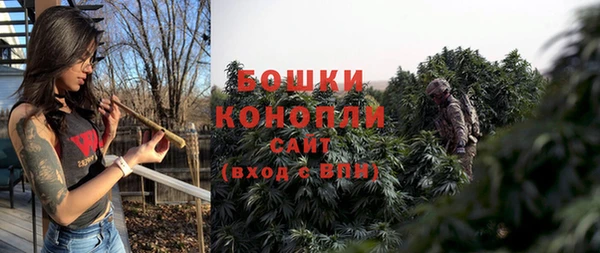 каннабис Новозыбков