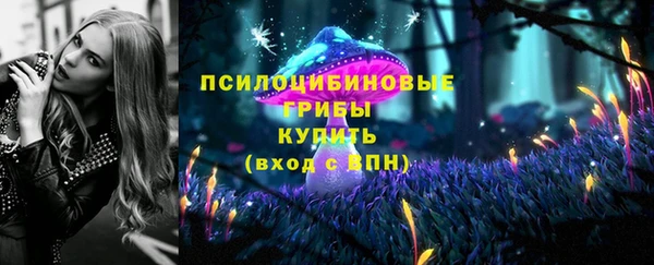 mdma Няндома