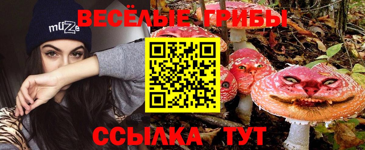 Галлюциногенные грибы Psilocybe  Вход с VPN  Балабаново  Галлюциногенные грибы мицелий 