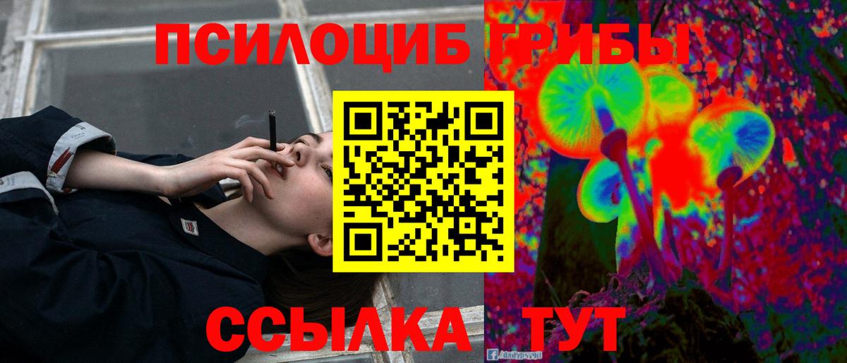 Псилоцибиновые грибы Psilocybe Балабаново