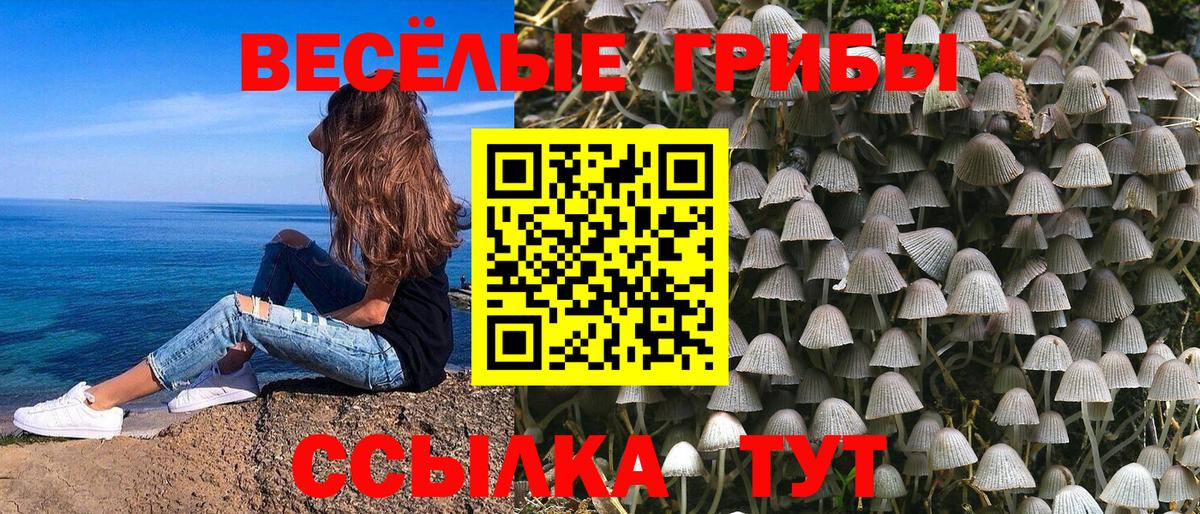 Галлюциногенные грибы Magic Shrooms Балабаново